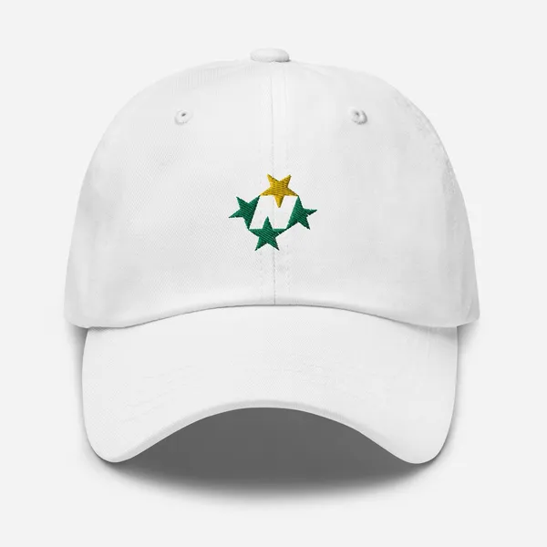 North Stars Rebrand Dad hat