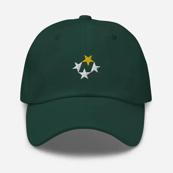North Stars Rebrand Spruce Dad hat