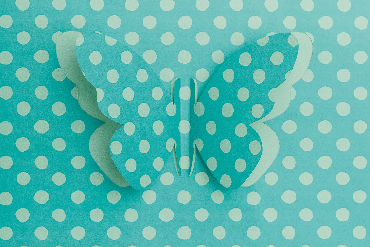 Target: Spring - design showcase item 4