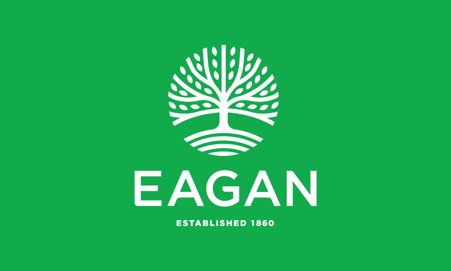 City of Eagan - design showcase item 5