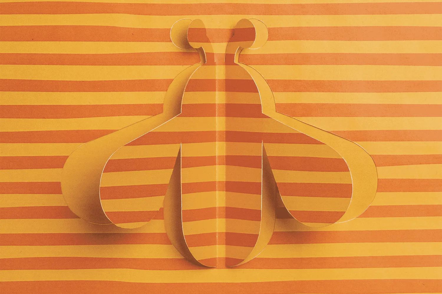 Target: Spring - design showcase item 6