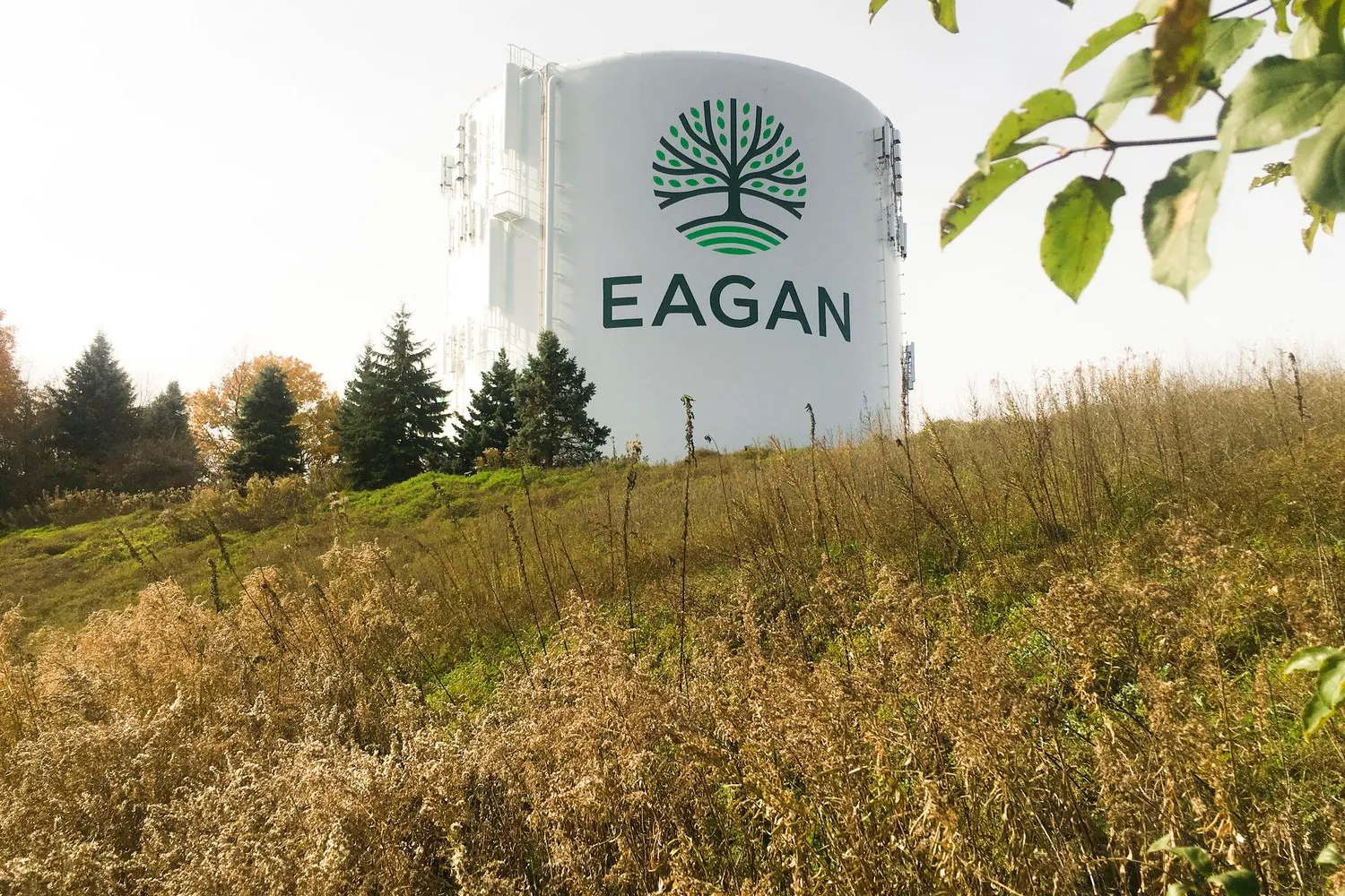 City of Eagan - design showcase item 7
