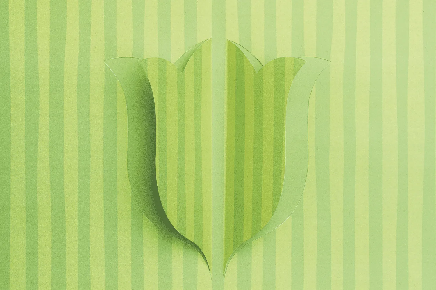 Target: Spring - design showcase item 8