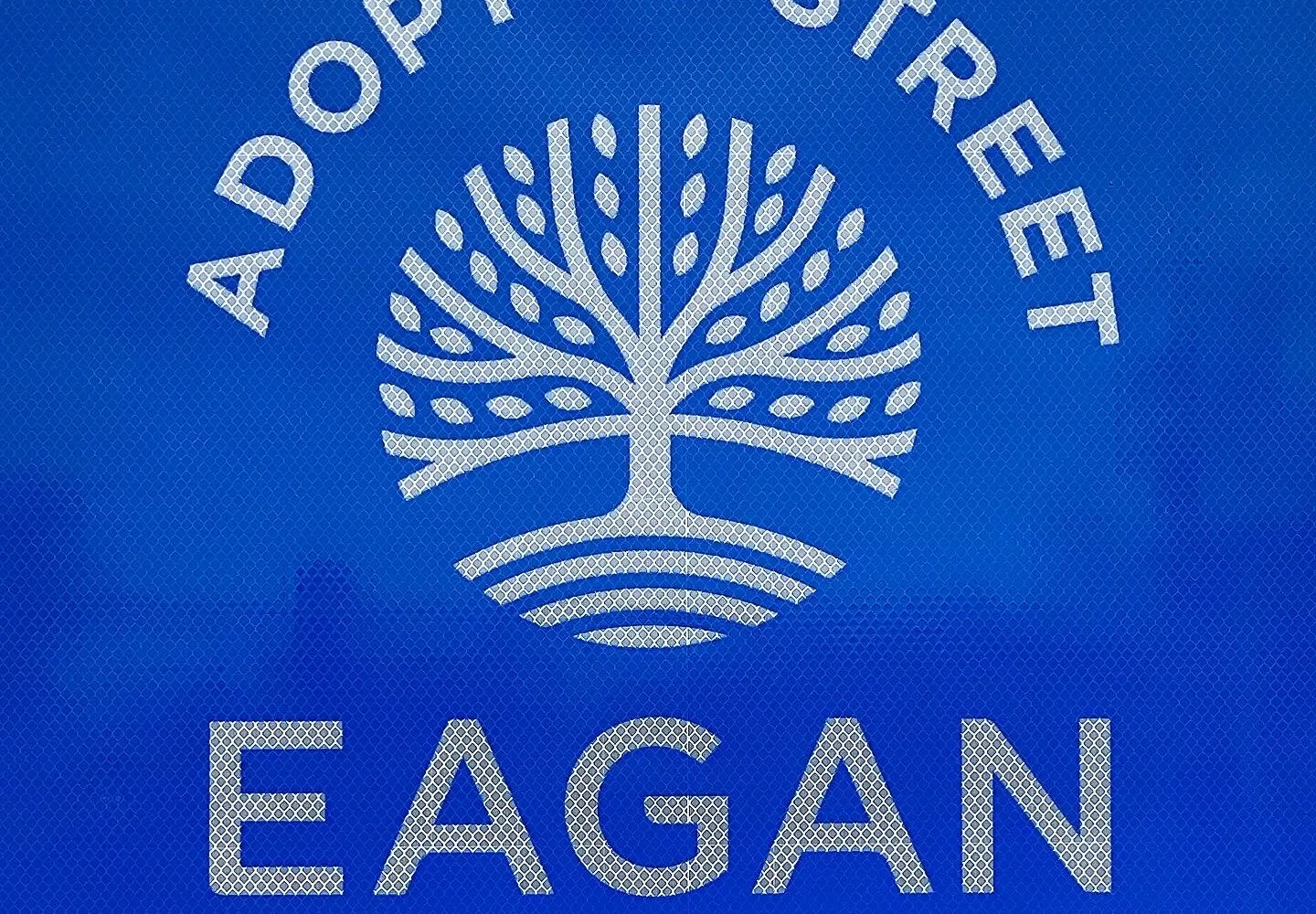 City of Eagan - design showcase item 20