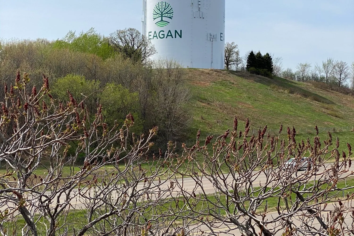 City of Eagan - design showcase item 22