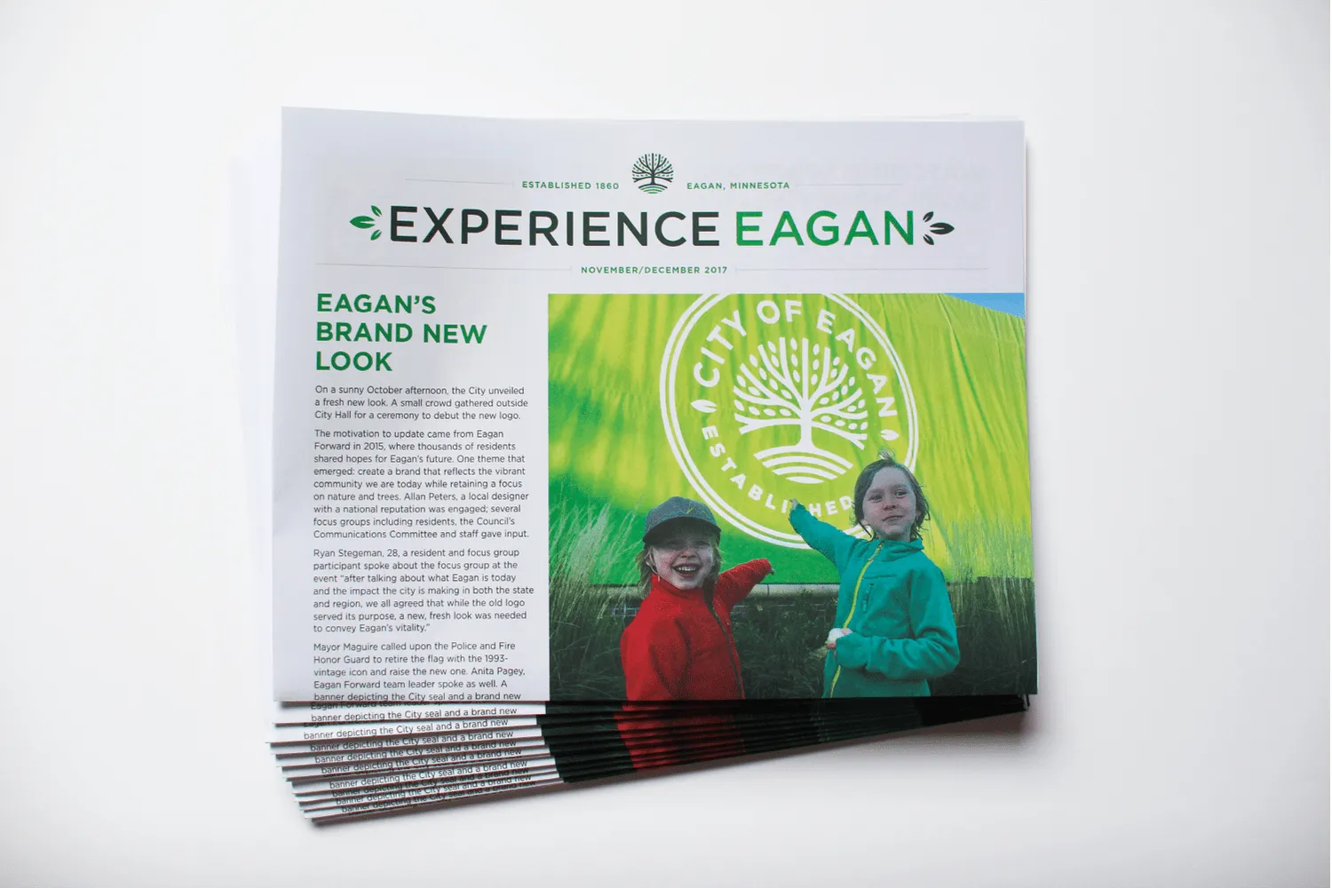 City of Eagan - design showcase item 24